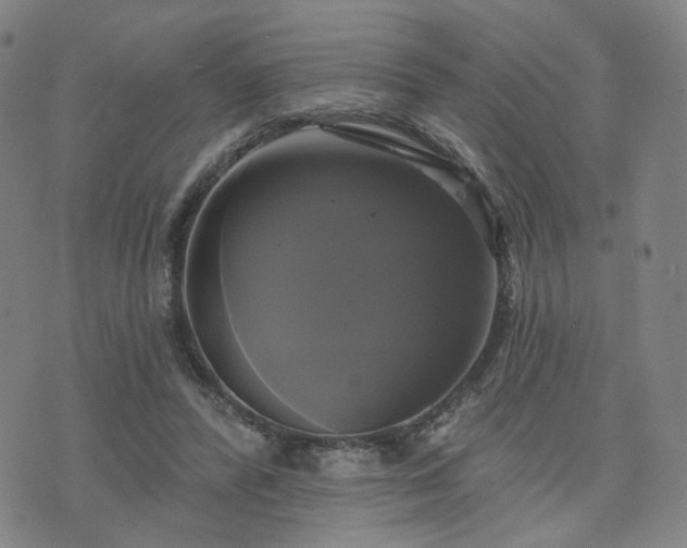 X0000076380400200610161120