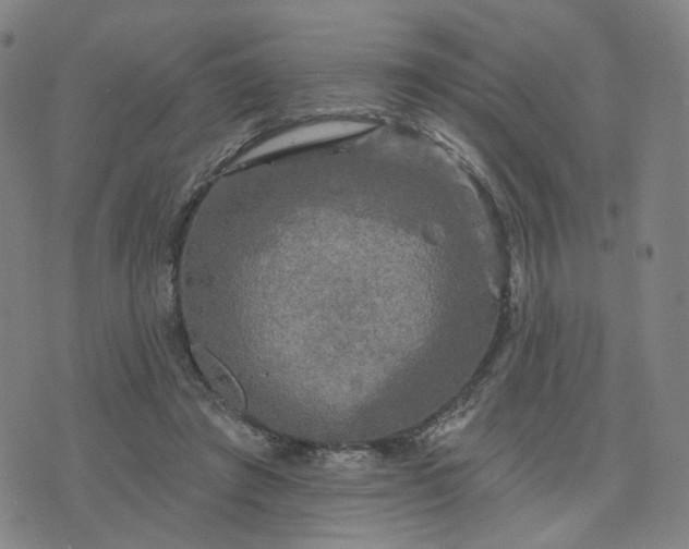 X0000076380401200610161120