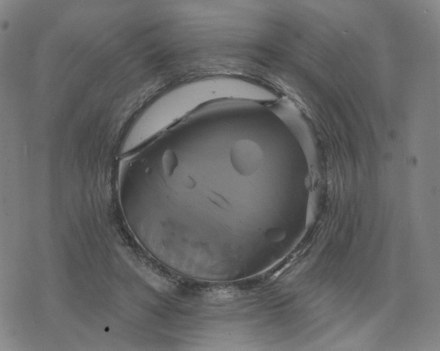 X0000076380402200610161120