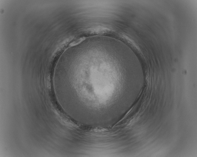 X0000076380403200610161120