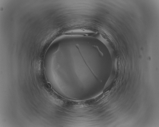 X0000076380404200610161120