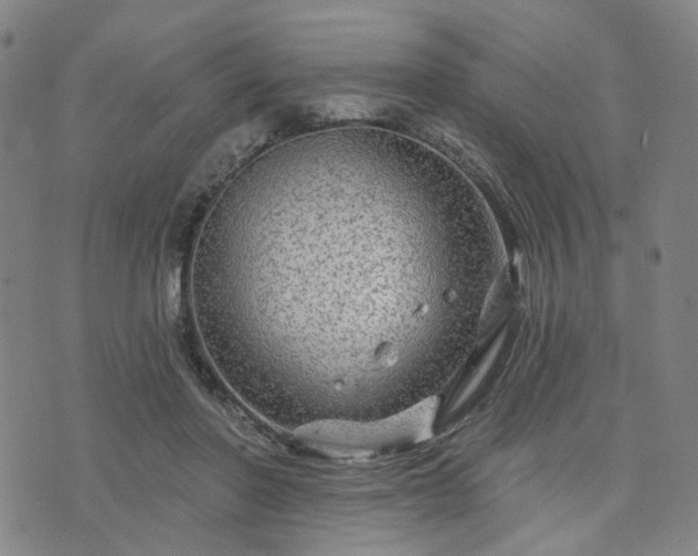 X0000076380406200610161120