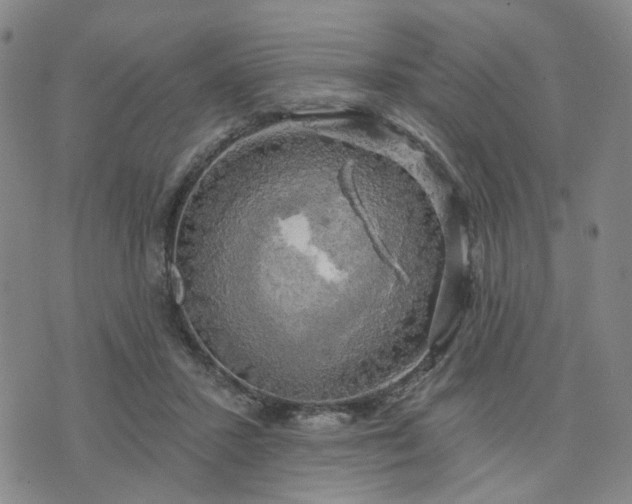 X0000076380407200610161120