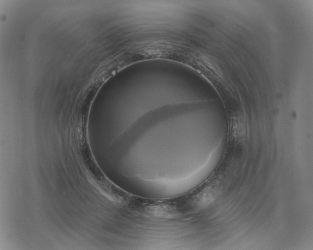 X0000076380408200610161120