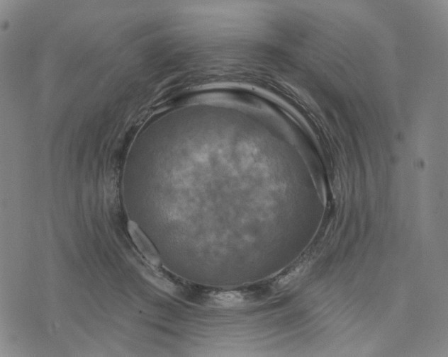 X0000076380409200610161120