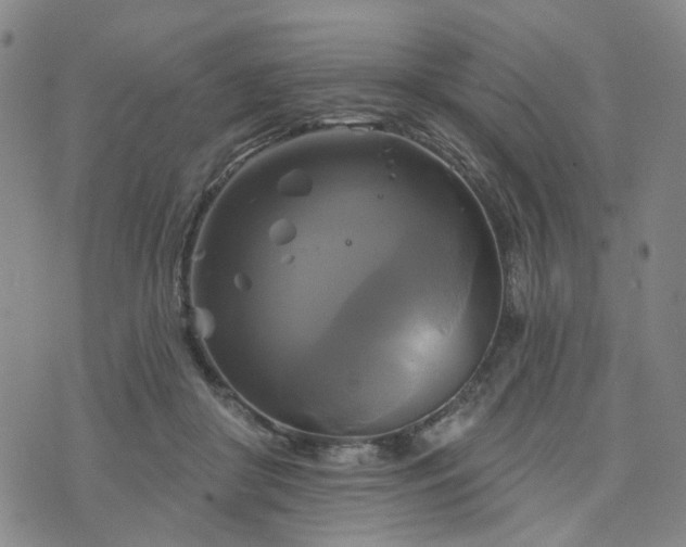 X0000076380410200610161120