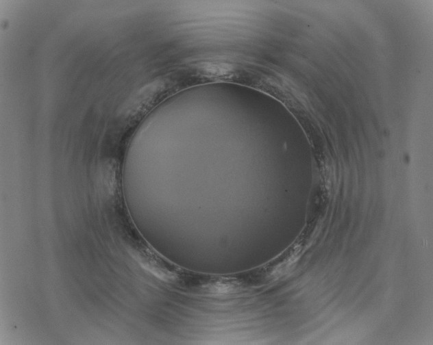 X0000076380412200610161120