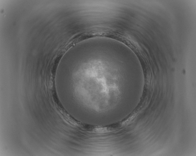 X0000076380413200610161120