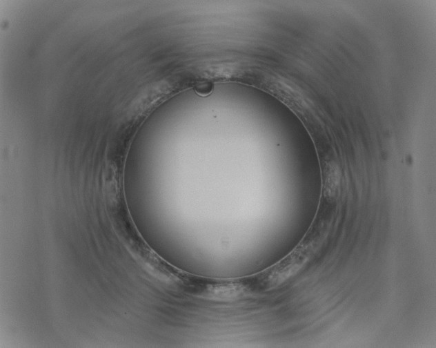 X0000076380414200610161120