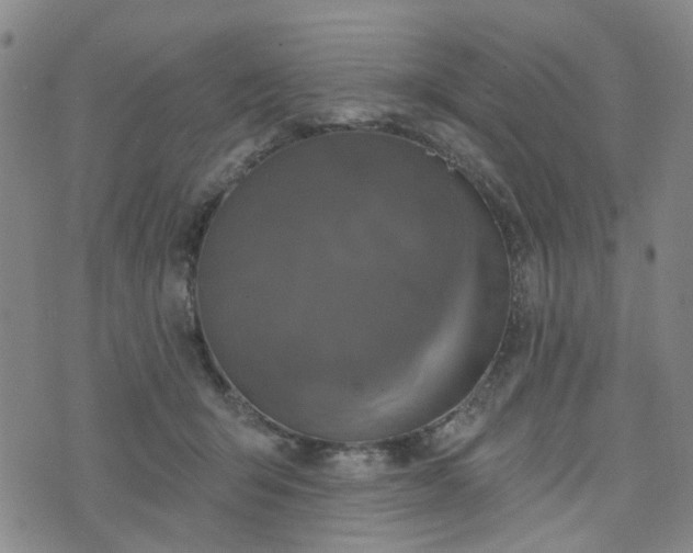 X0000076380415200610161120