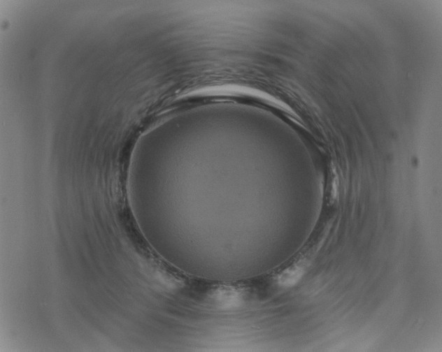 X0000076380416200610161120