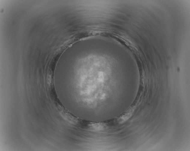 X0000076380417200610161120