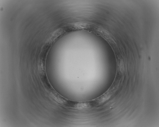 X0000076380418200610161120