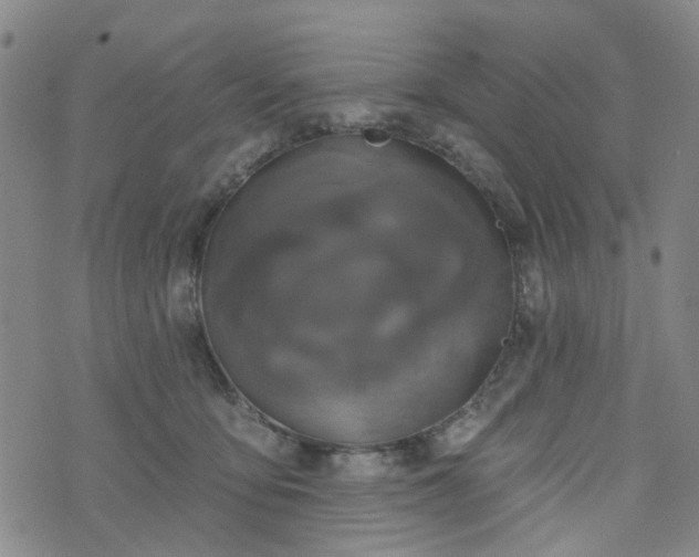 X0000076380419200610161120