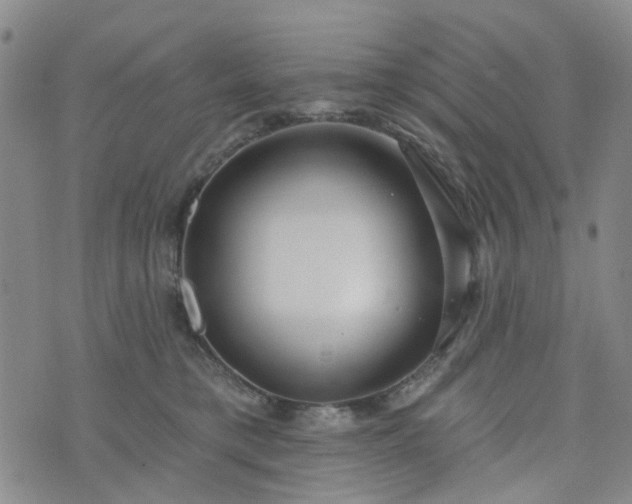 X0000076380421200610161120