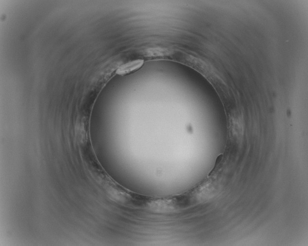 X0000076380422200610161120