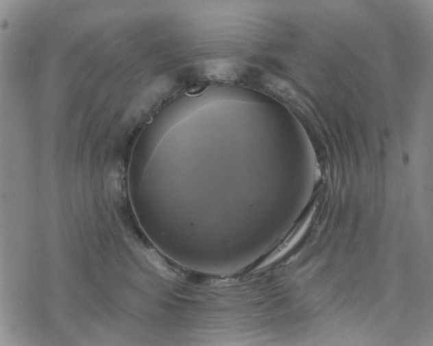 X0000076380424200610161120