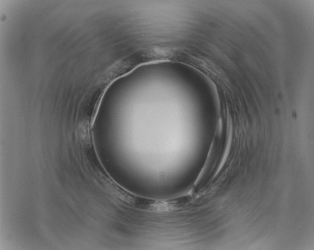 X0000076380425200610161120