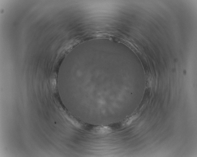 X0000076380427200610161120