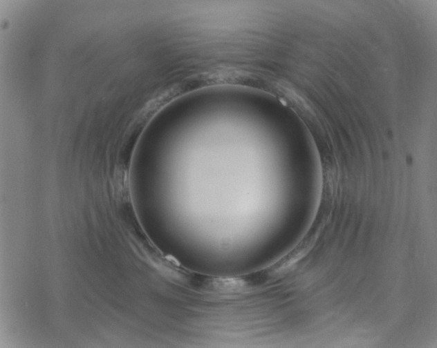 X0000076380429200610161120