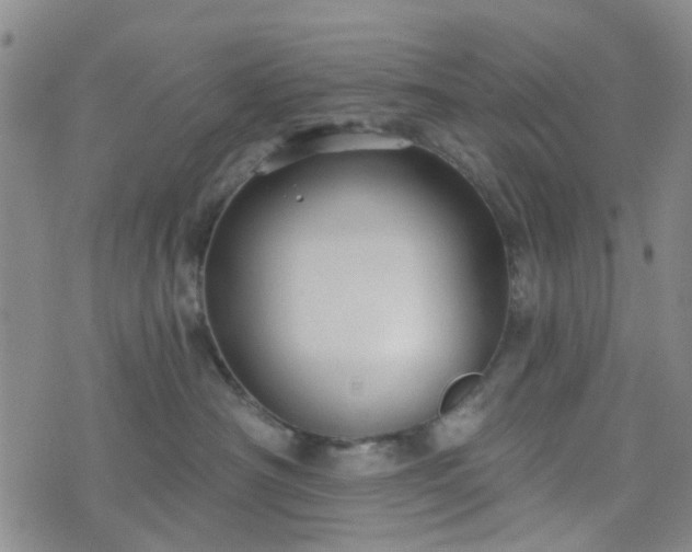 X0000076380430200610161120