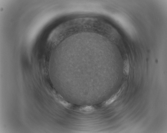 X0000076380431200610161120