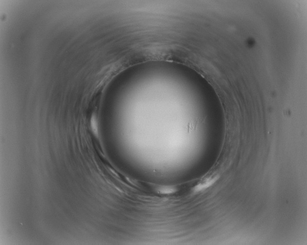 X0000076380432200610161120