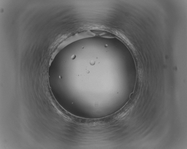 X0000076380433200610161119