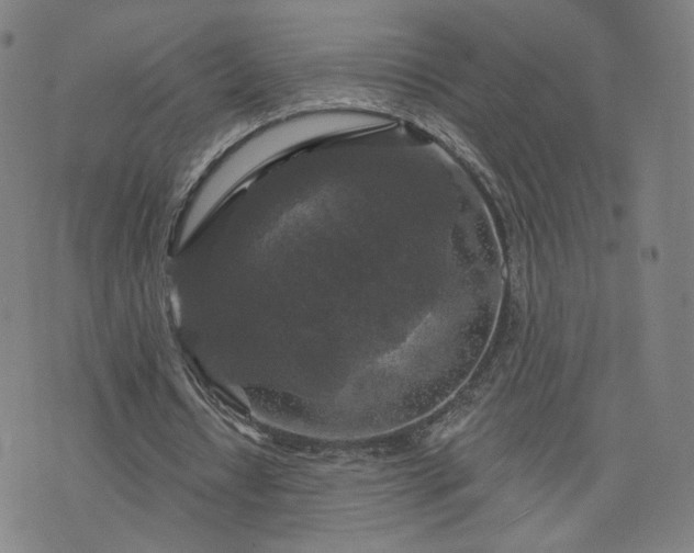 X0000076380434200610161119