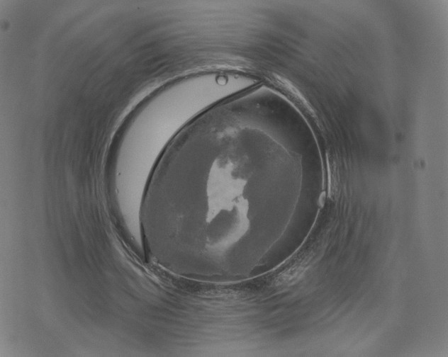 X0000076380435200610161119