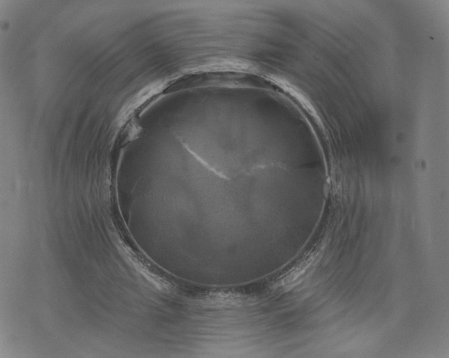 X0000076380437200610161119