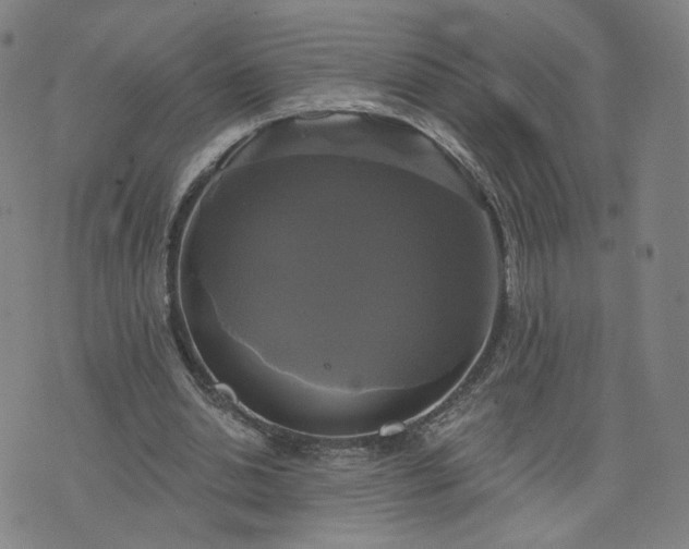 X0000076380438200610161119