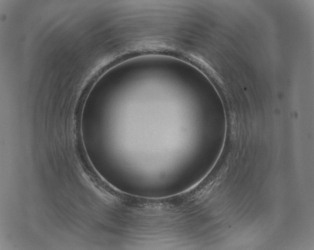 X0000076380439200610161119