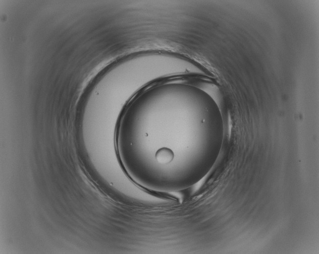 X0000076380440200610161119