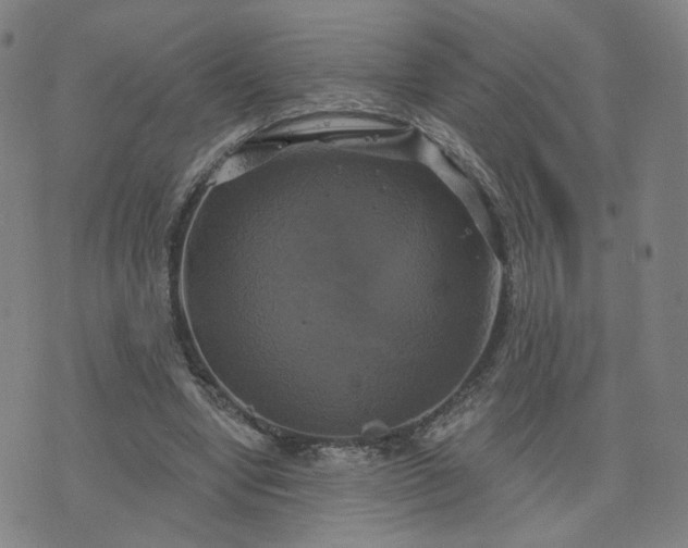 X0000076380442200610161119