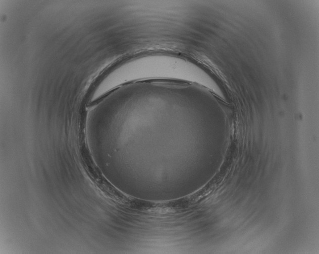 X0000076380444200610161119