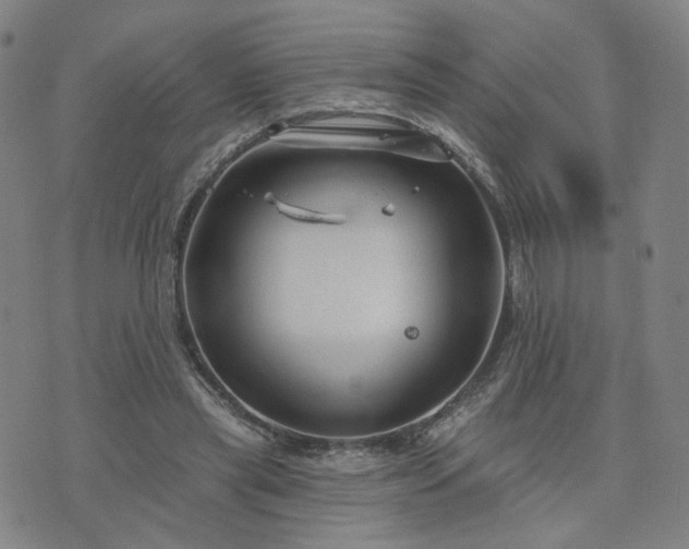 X0000076380445200610161119