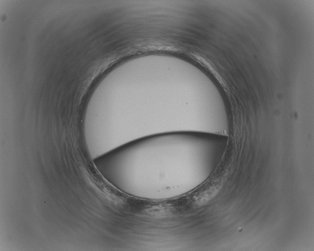 X0000076380447200610161119