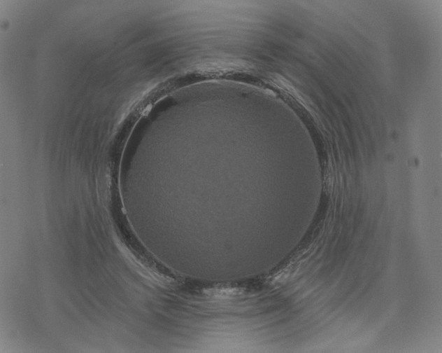 X0000076380448200610161119