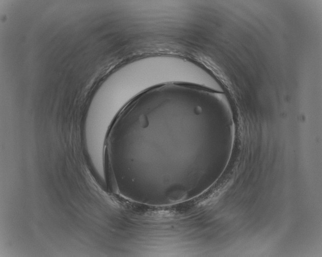 X0000076380449200610161119