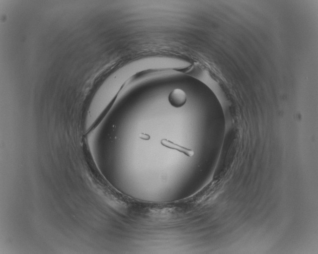 X0000076380450200610161119