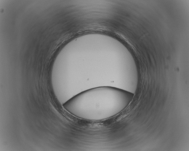 X0000076380451200610161119