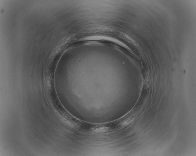 X0000076380452200610161119