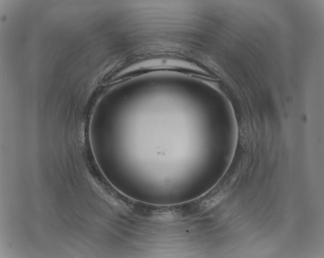 X0000076380454200610161119