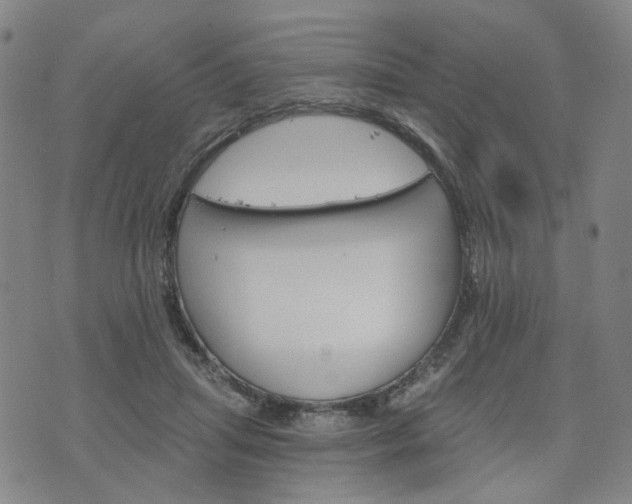 X0000076380455200610161119