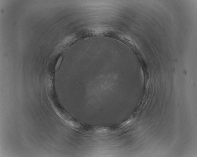 X0000076380456200610161119