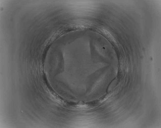 X0000076380457200610161119