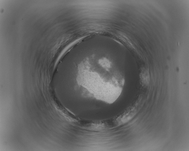 X0000076380458200610161119