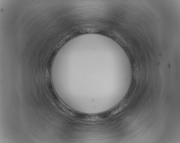 X0000076380459200610161119