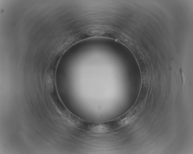 X0000076380460200610161119